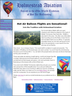 Holmestead Aviation Web Site